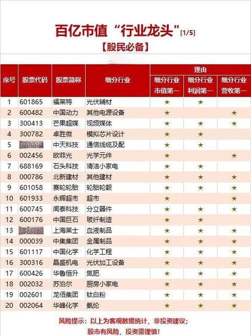 行业龙头100强名单