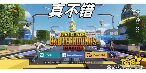 pubg隐藏id