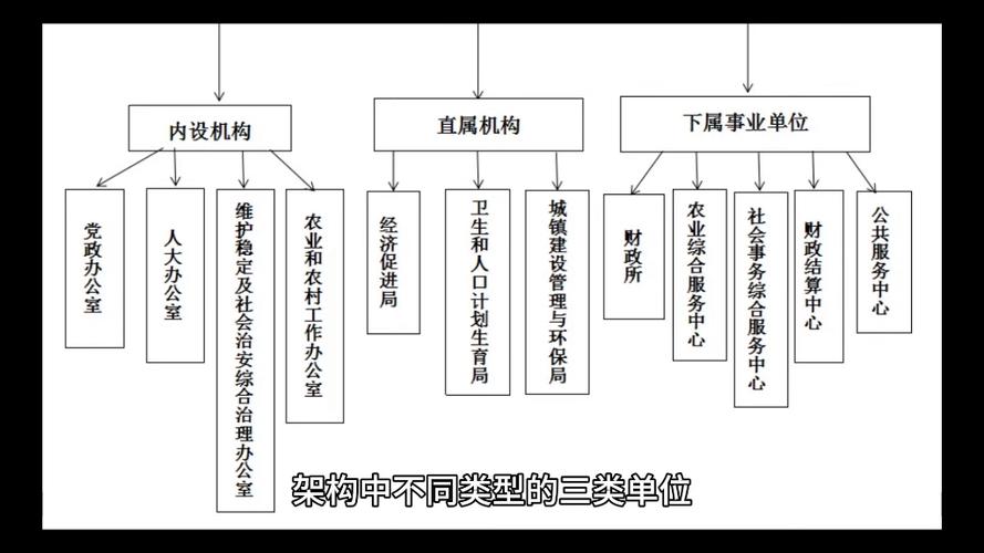 什么叫直属关系