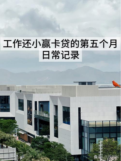 小赢卡贷现状怎么样