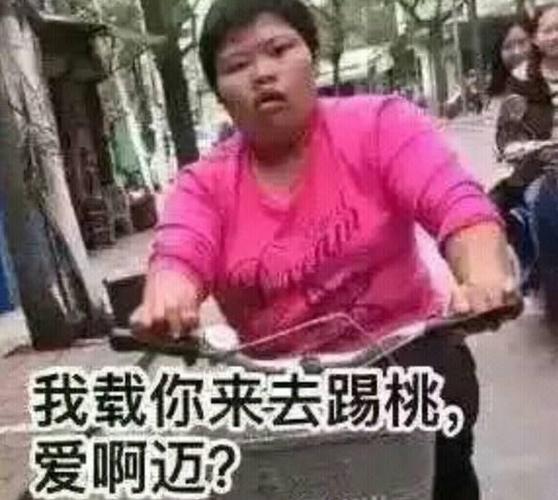 潮汕网红我迈姐表情包