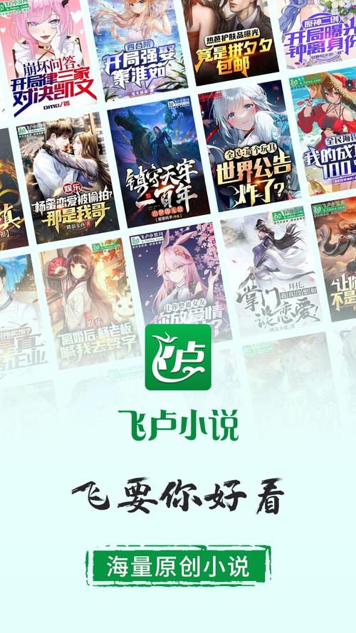 刷永久飞卢vip缩略图