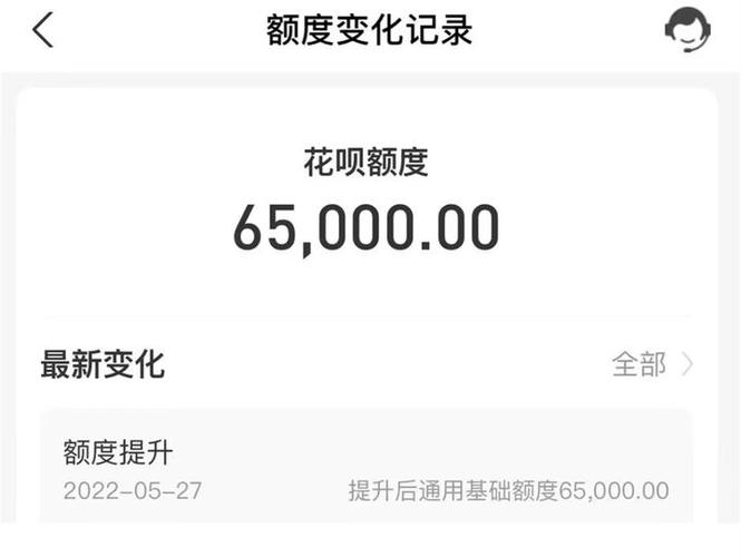 支付宝已授权额度是什么意思