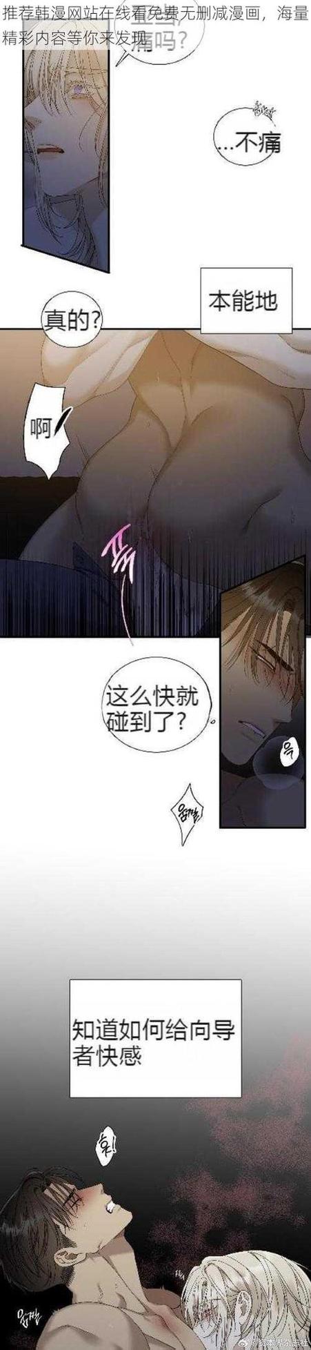 好看的韩国漫画免费观看网站