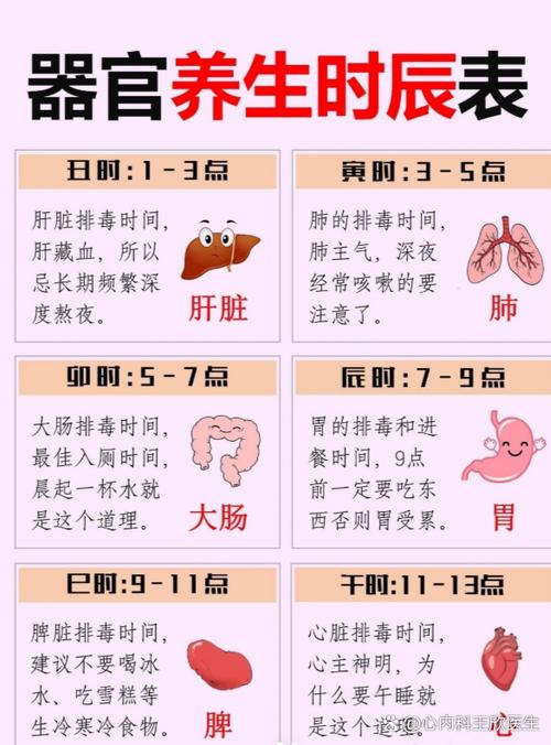 晚上3点醒肝脏的原因