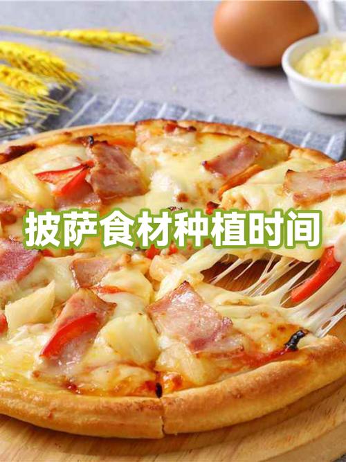 可口的披萨36天破解