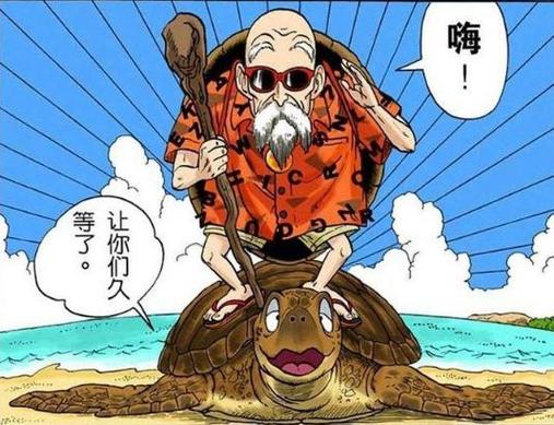 龟仙人的龟