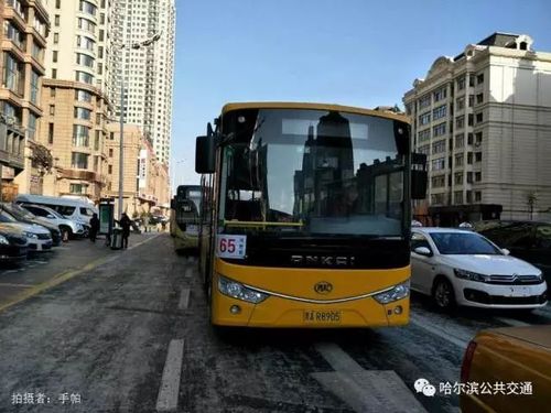哈尔滨65路公交车