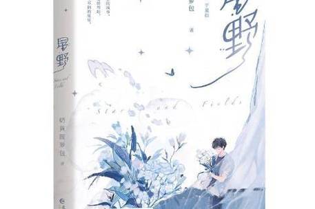 继承星野牧场的小说