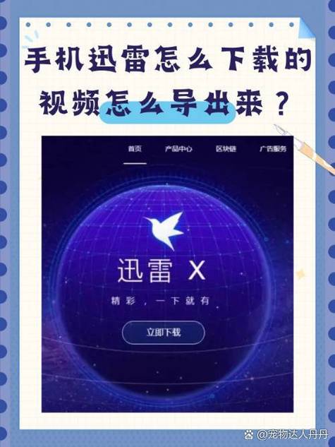 手机迅雷怎么导出下载视频