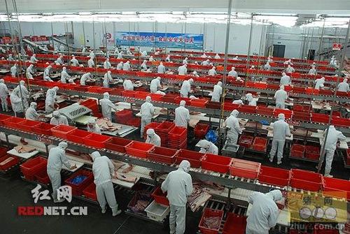 漯河双汇彩印普工招聘