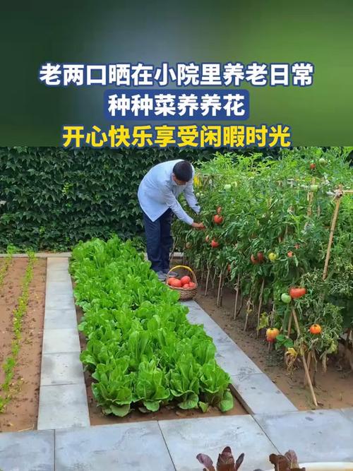 开心养花场