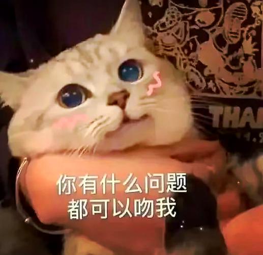 甜表情包