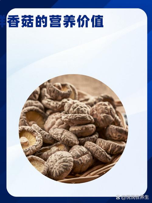 干香菇与鲜香菇哪个好
