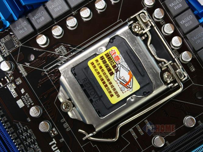 龙之日steam怎么下载