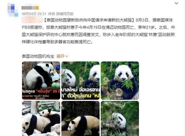 国内动物园熊猫一般租多久