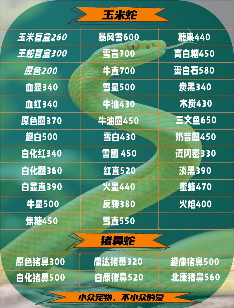 小蛇斗蜈蚣内置功能菜单