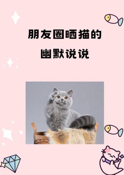 发朋友圈晒猫的句子缩略图