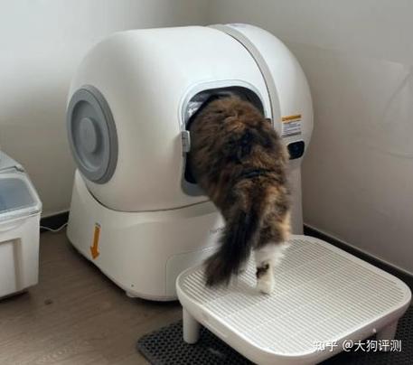 猫砂盆可以放卧室吗
