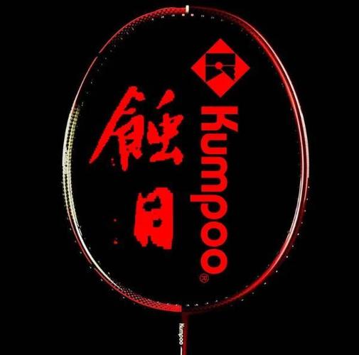 大铁锤pro中羽评分