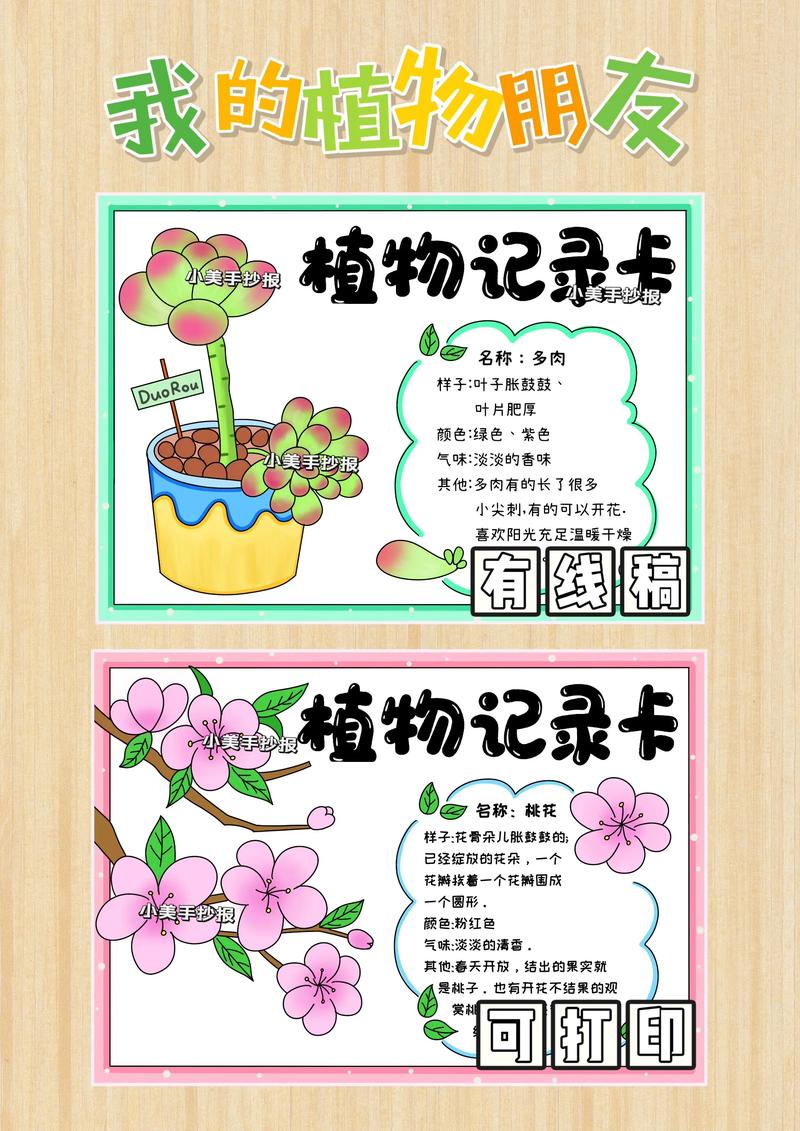 1—2年级阅读记录卡