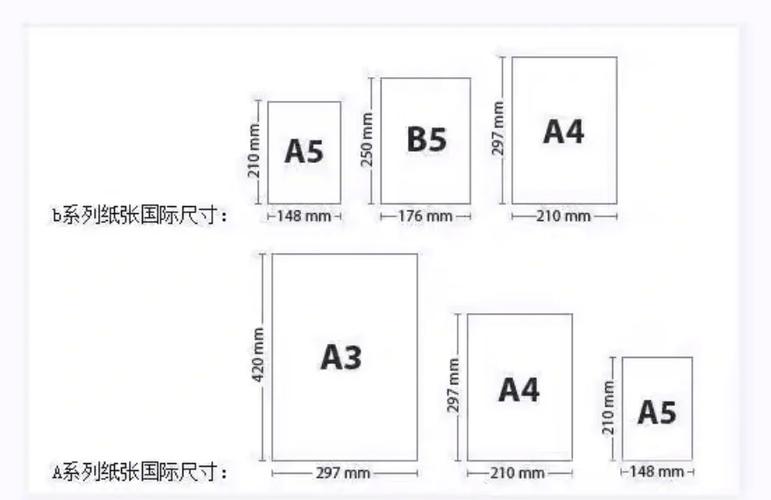 试卷是b4还是b5