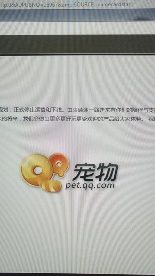 qq宠物还能玩吗
