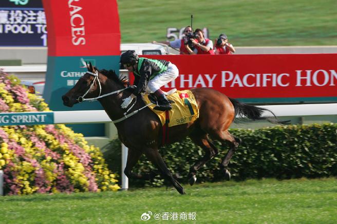 免费香港赛马直播