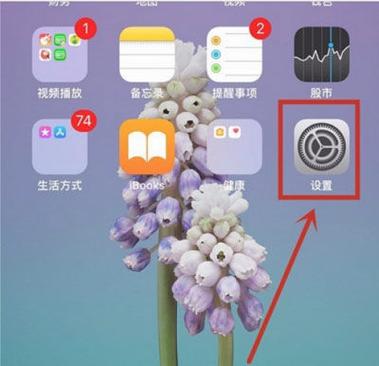 苹果关闭自动亮度对眼睛的影响