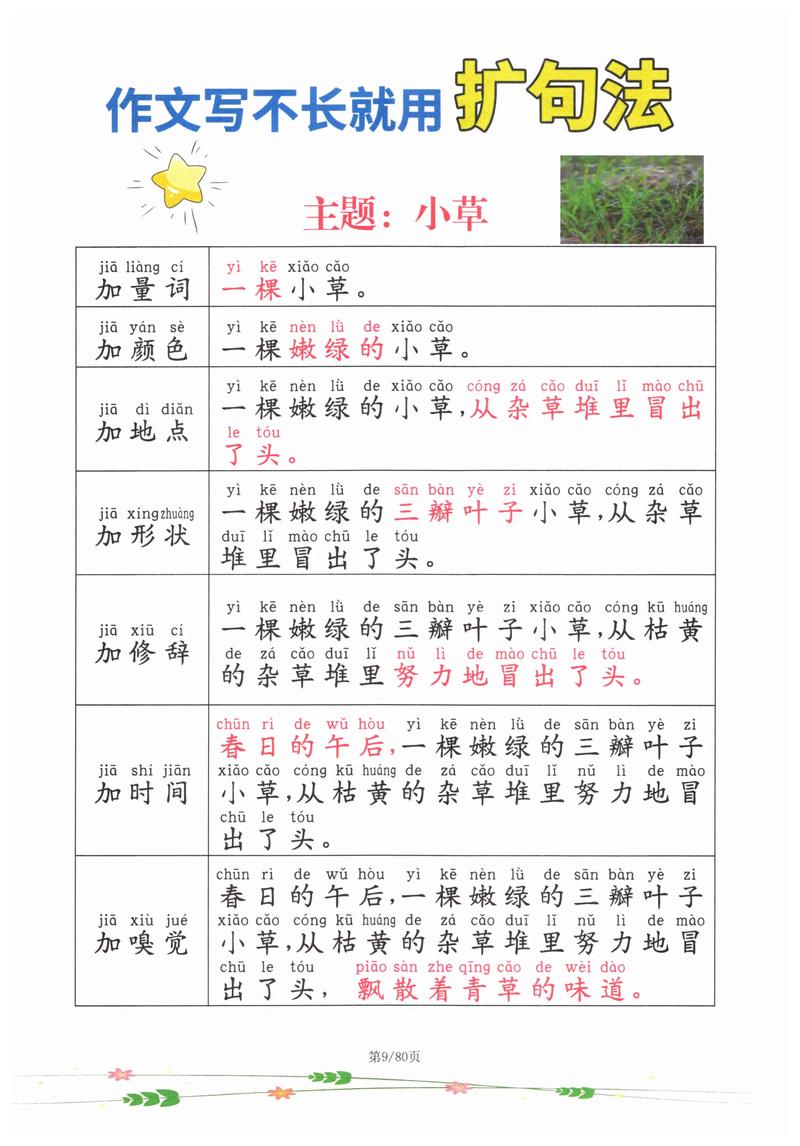 小草之家ty66最新版本更新内容与评价