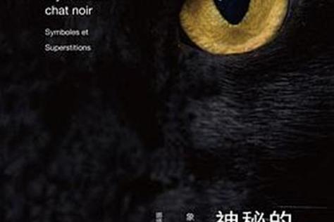 神秘的黑猫