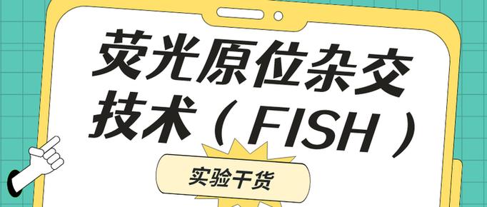 荧触摸游戏