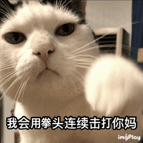 猫打你是什么意思