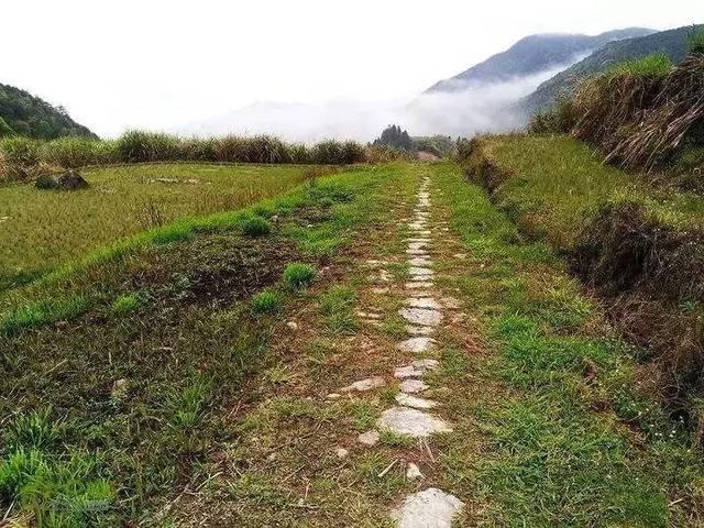 悠悠小道通人家