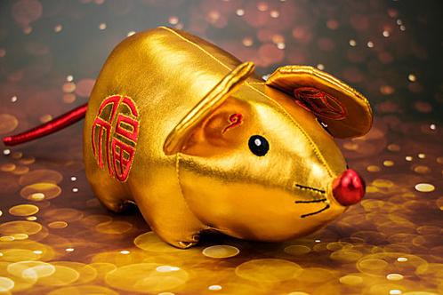 2020金鼠