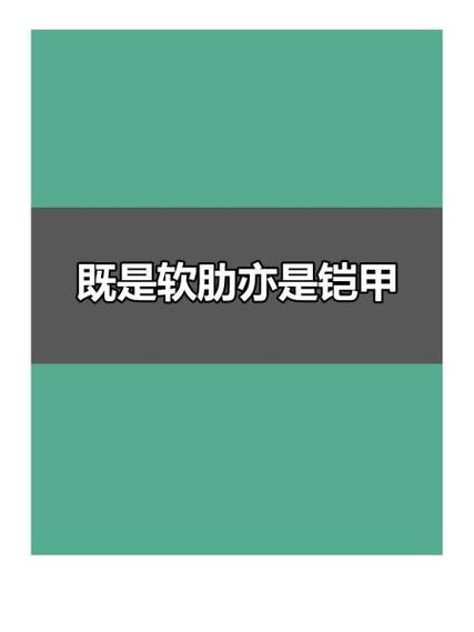 儿子是铠甲还是软肋