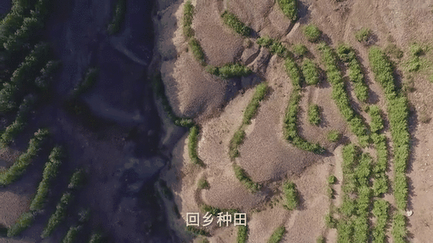 空间种地TXT截图