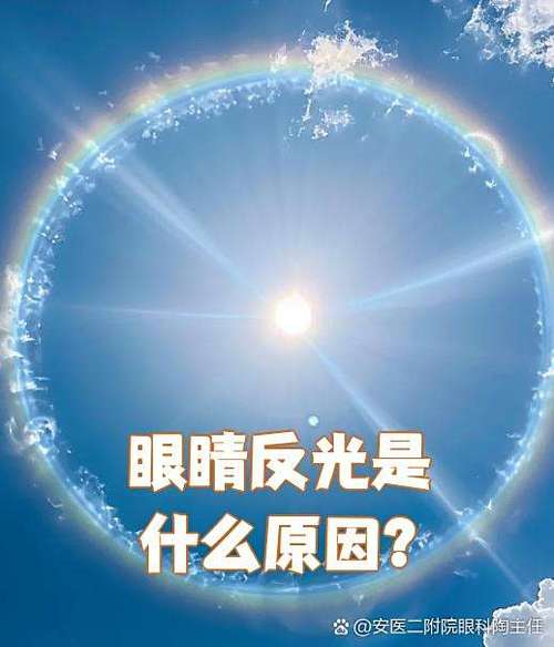 什么叫反光