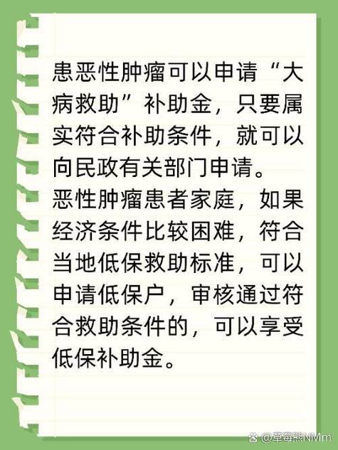 大病补助2026年标准图标