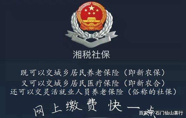 湘税社保个人缴费缩略图