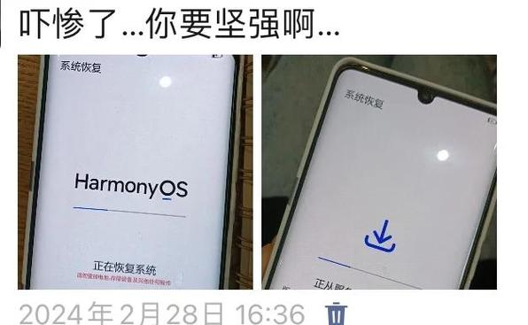 华为p30换了屏幕老失灵缩略图