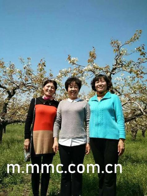 迷你世界马怎么驯服