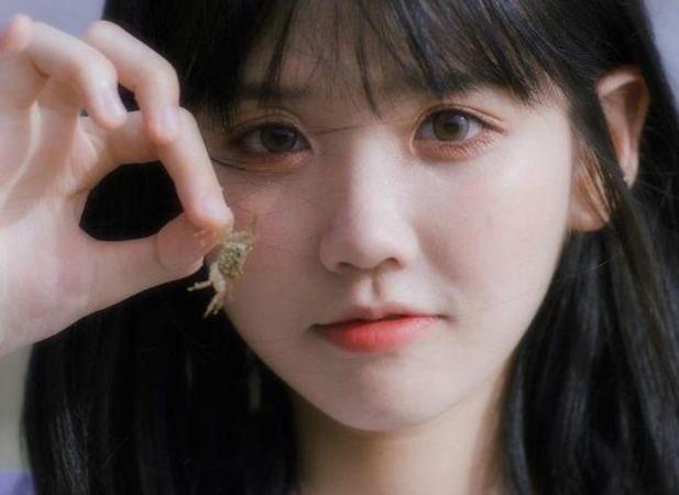 小说《里予》长佩