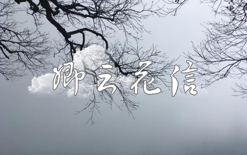 卿云花信