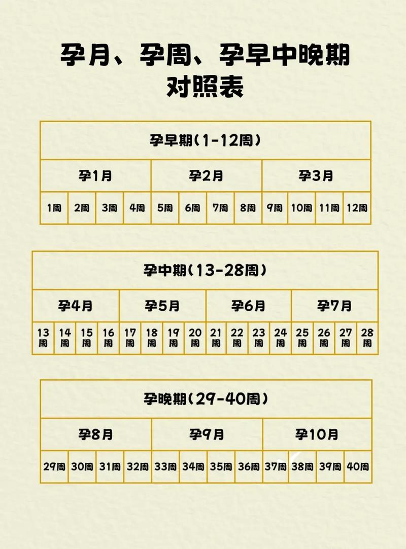 几周目是什么意思