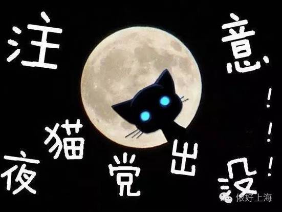 有宝宝夜猫子的说说