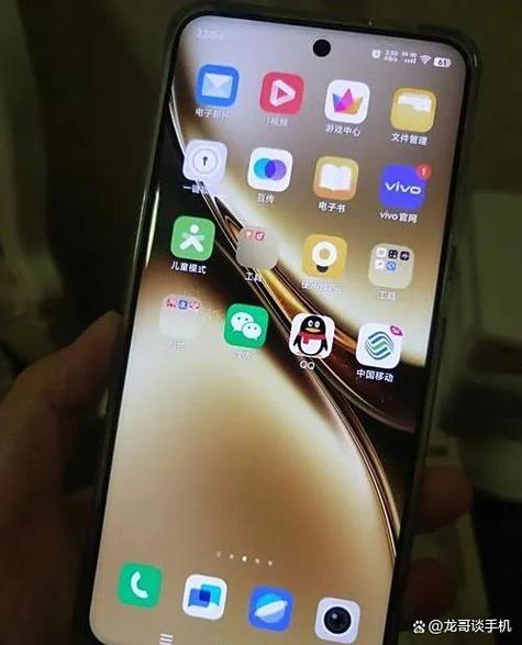 vivo手机突然没快充了