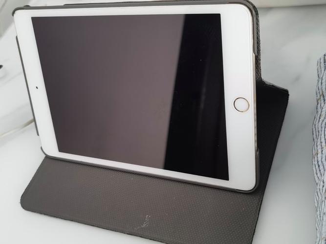 ipadmini4卡吗