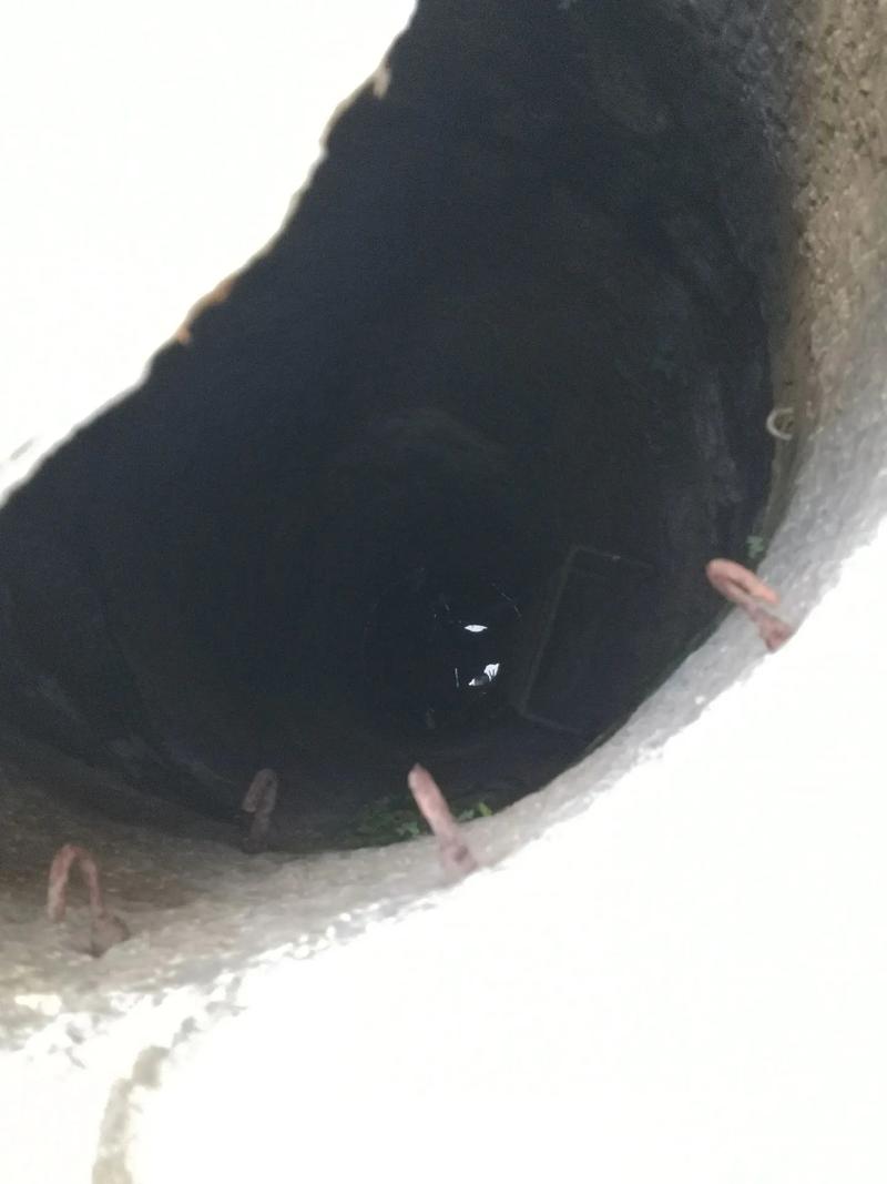变异治疗药水放井里
