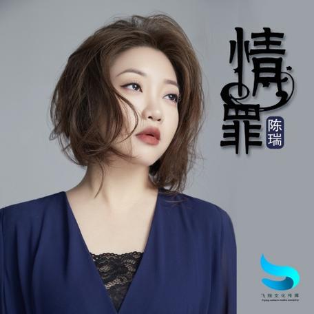 情罪电子琴dj